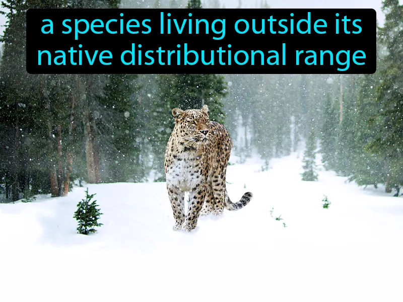 Non-native Species Definition