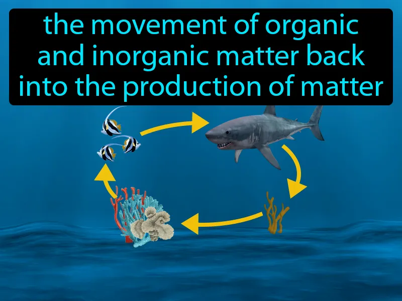 Nutrient Cycling Definition