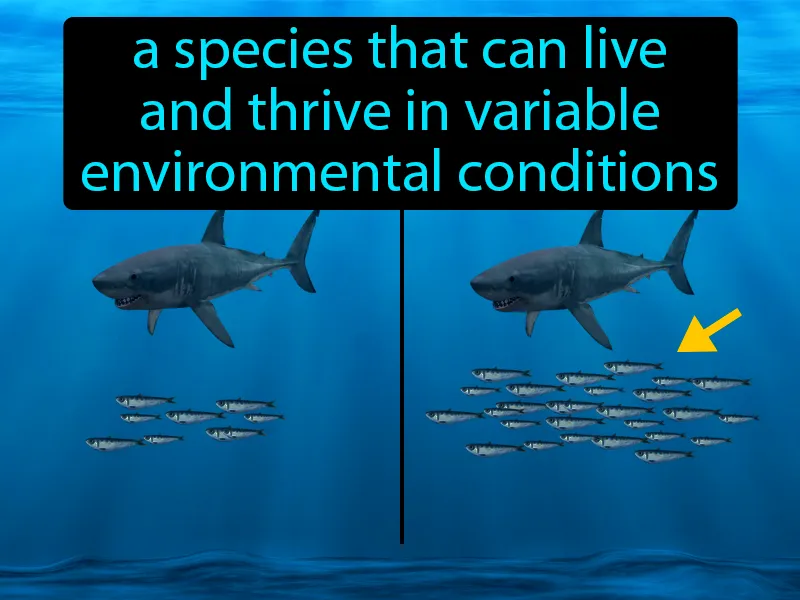 Opportunists Definition Opportunists Definition