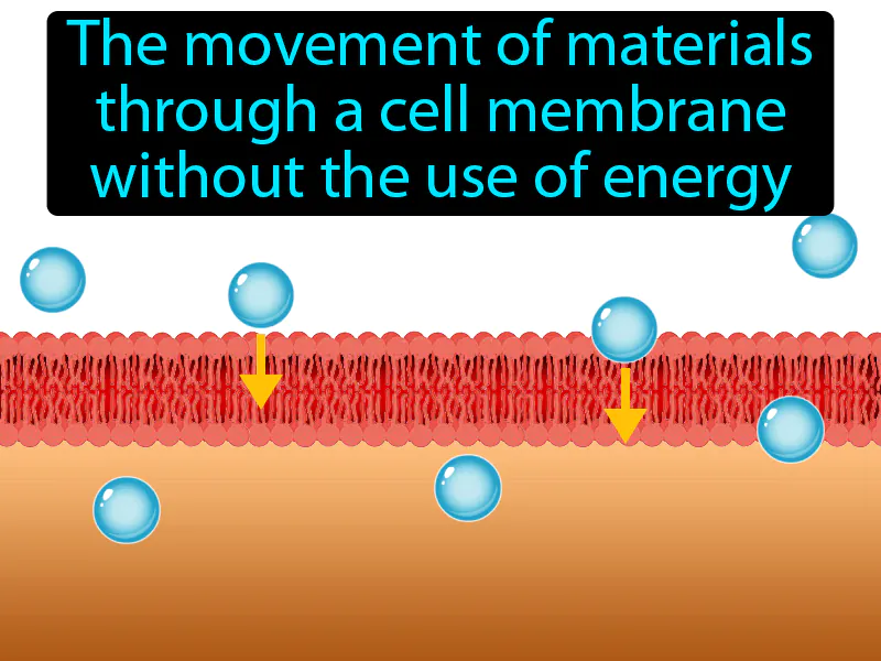Passive Transport Definition