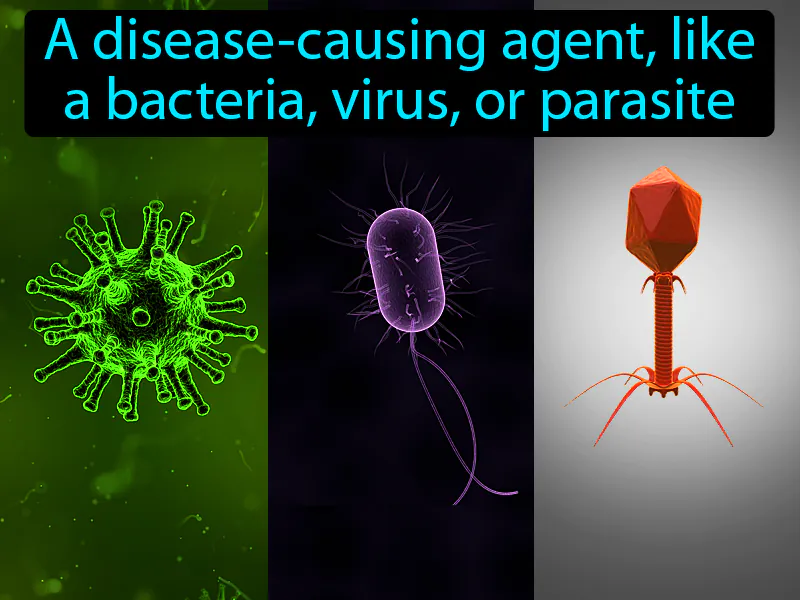 Pathogen Definition