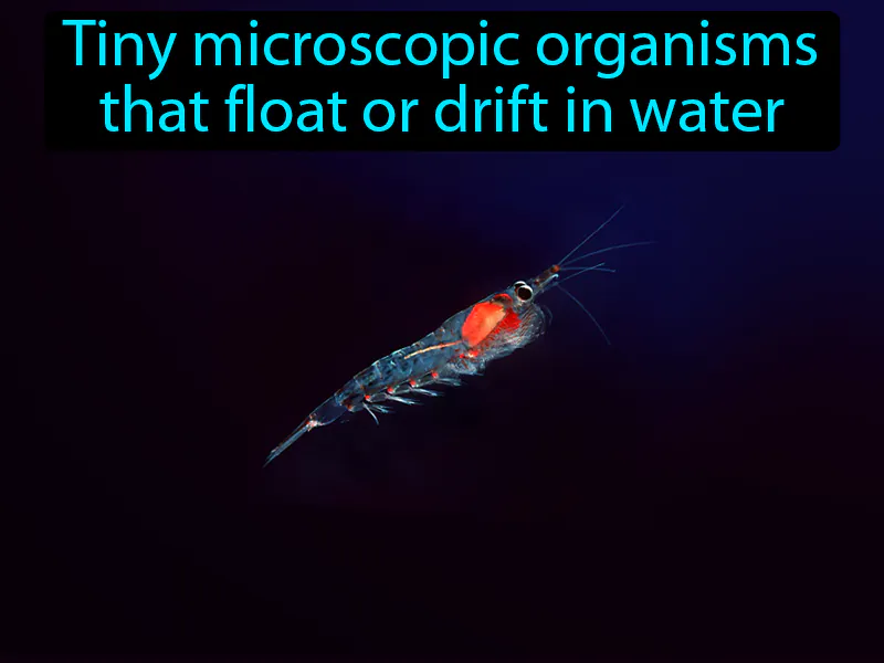 Plankton Definition