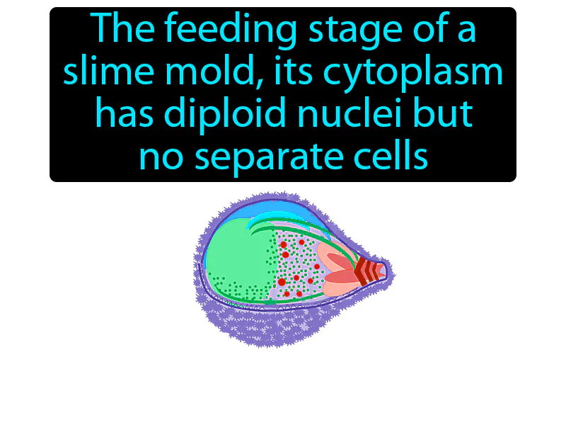 Plasmodium Definition