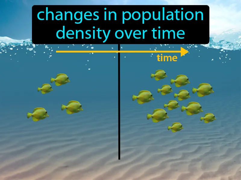 Population Dynamics Definition