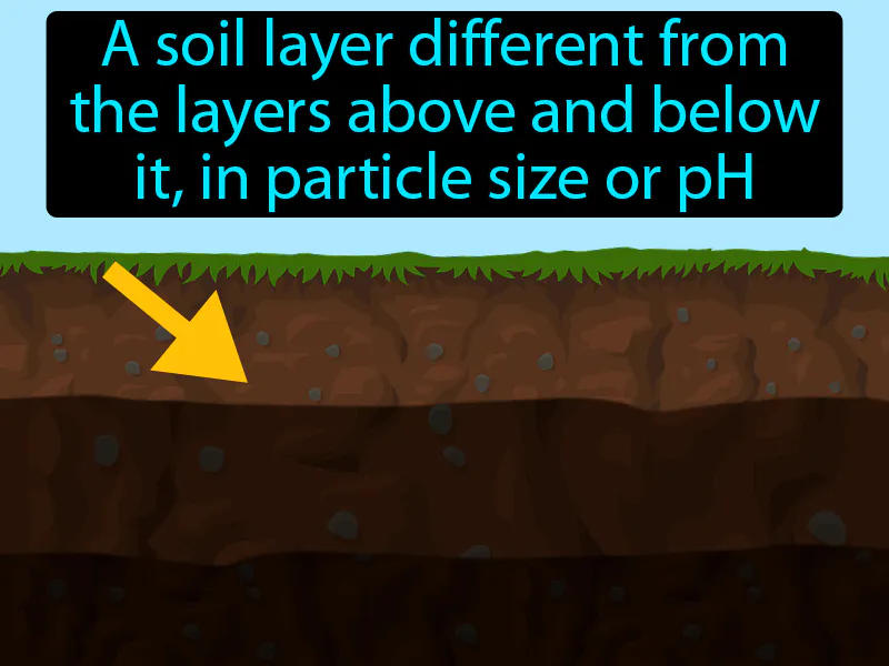 Soil Horizon Definition