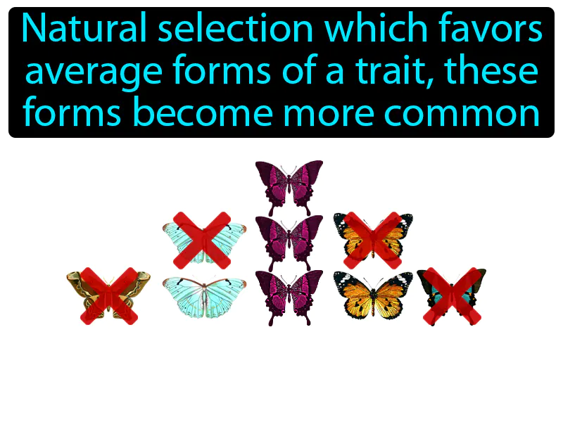 Stabilizing Selection Definition