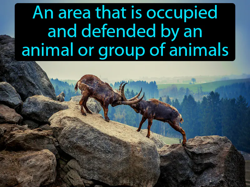 Territory Definition