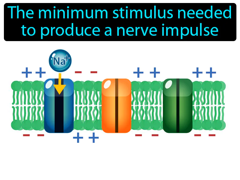 Threshold Definition Threshold Definition