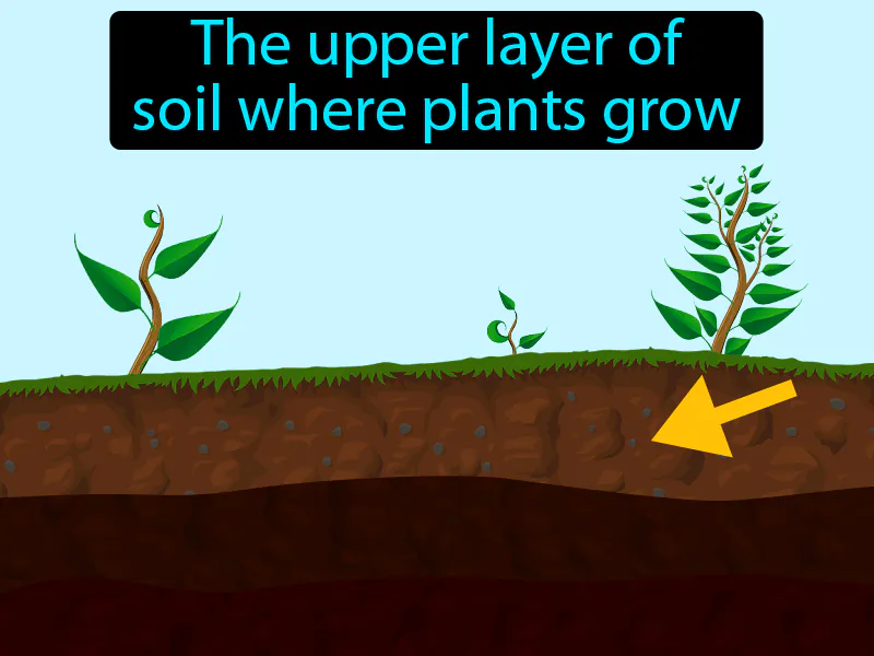 Topsoil Definition
