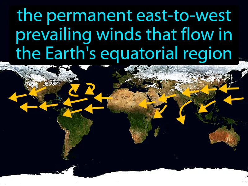Trade Winds Definition