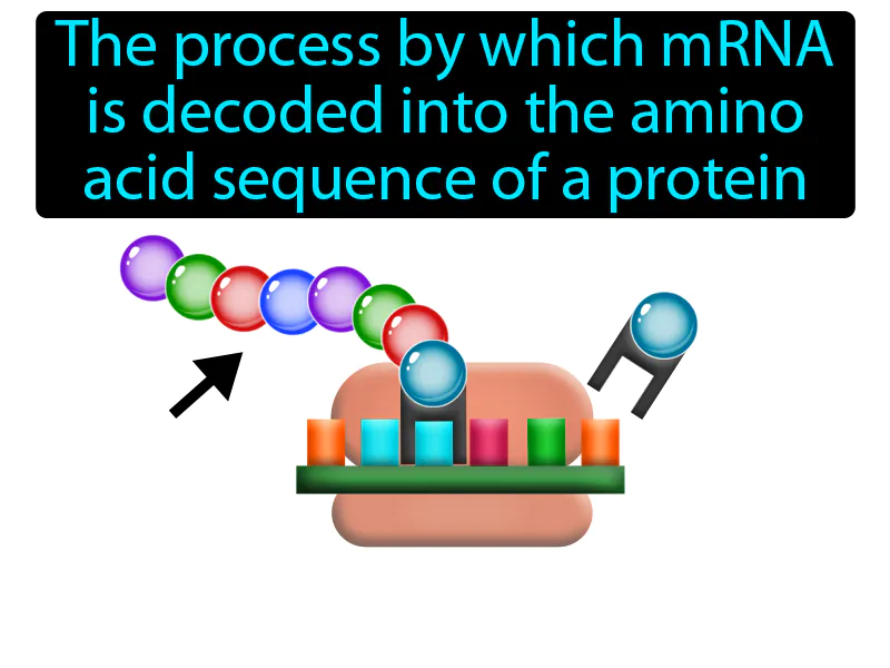 Translation Definition