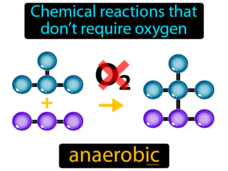 Anaerobic Definition Anaerobic Definition