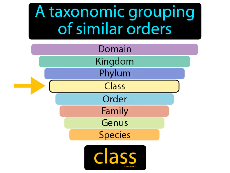 Class Definition Class Definition