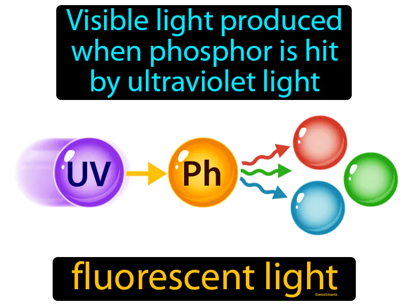 Fluorescent Light Definition Fluorescent Light Definition