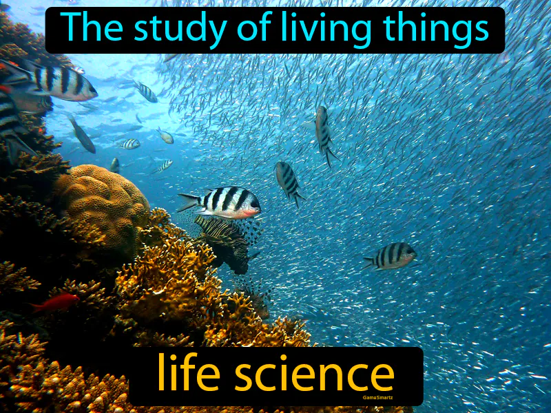 Life Science Definition Life Science Definition