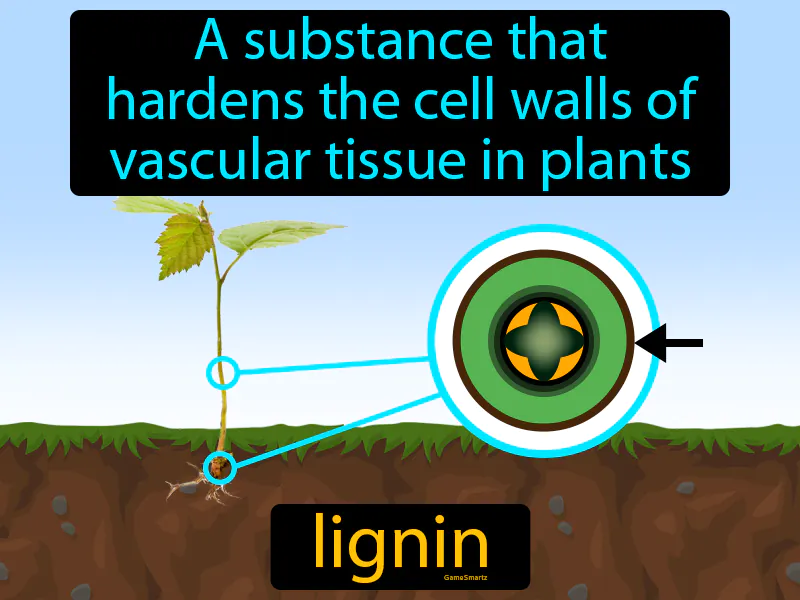Lignin Definition Lignin Definition