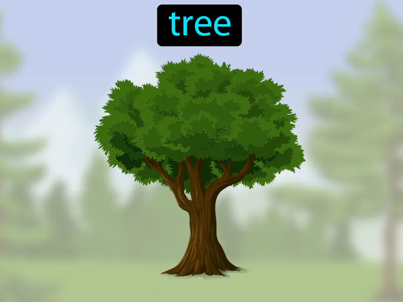 El Arbol Definition