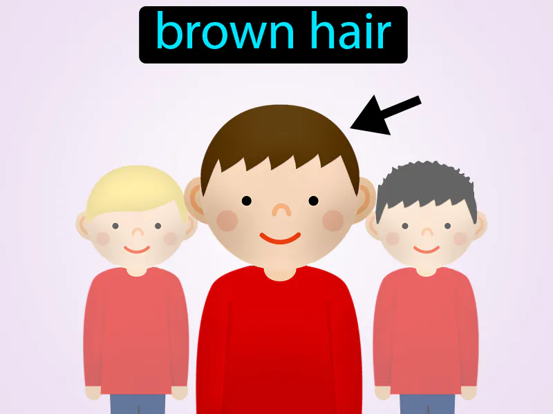 El Pelo Castano Definition