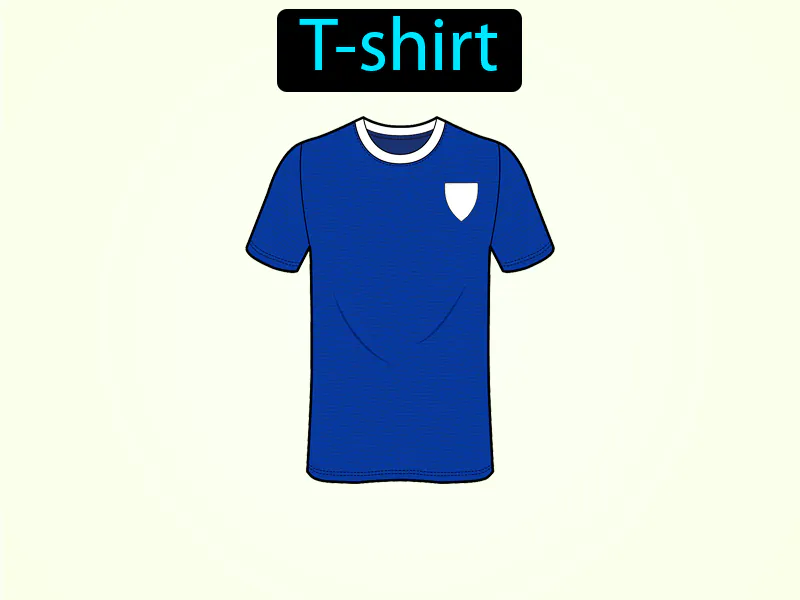 La Camiseta Definition